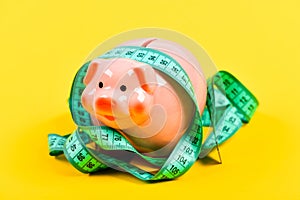 Piggy bank and measuring tape. Budget limit concept. Credit loan debt. Financial consulting. Economics and finances. Pig