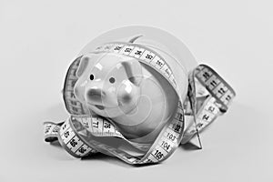 Piggy bank and measuring tape. Budget limit concept. Credit loan debt. Financial consulting. Economics and finances. Pig