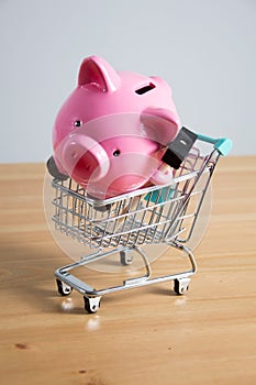 Piggy bank on a miniature shopping cart