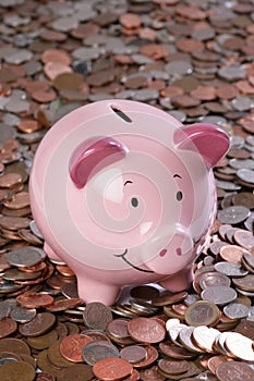 Piggy bank with money background