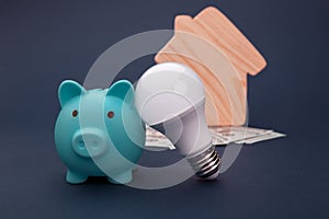 Piggy bank, money banknotes and led light bulb, house figure on blue background. Energy saving concept