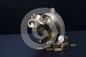 Piggy bank, money on black background