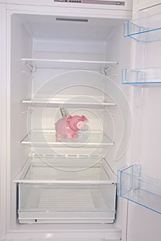 Piggy bank money box inside in empty clean refrigerator