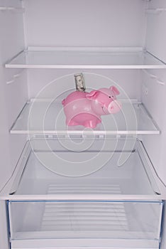 Piggy bank money box inside in empty clean refrigerator