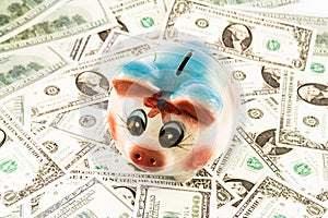 Piggy bank money box with money