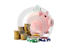 Piggy bank and money coins stack with casino chips on white background. Concept of gambling savings