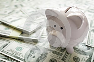 Piggy bank on money concept for business finance, investment and