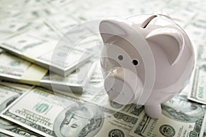 Piggy bank on money concept for business finance, investment and photo