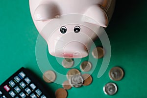 Piggy Bank with Money, Cute piggy bank on color background photo