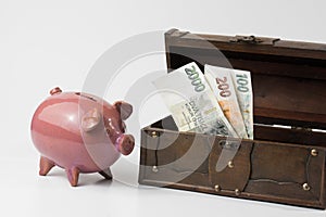 Piggy bank with money, czech crowns