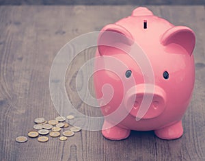 Piggy-bank /money savings / concept of growth