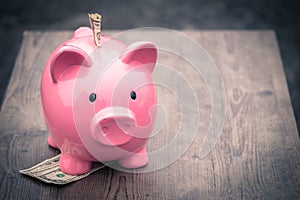 Piggy-bank /money savings / concept of growth