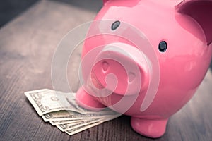 Piggy-bank /money savings / concept of growth