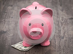 Piggy-bank /money savings / concept of growth