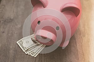 Piggy-bank /money savings / concept of growth
