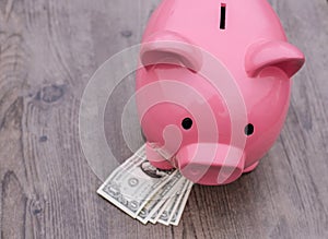 Piggy-bank /money savings / concept of growth