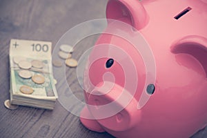 Piggy-bank /money savings / concept of growth