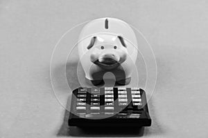 Piggy bank money savings. Investing gain profit. Pay taxes. Calculate taxes. Piggy bank pig and calculator. Taxes and