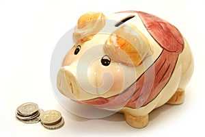 Piggy Bank Next to Coins