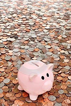 Piggy bank over coins business & finance concept