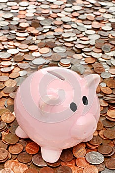 Piggy bank over money business & finance concept
