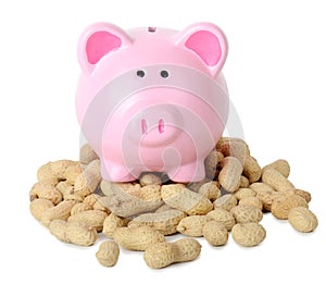 Piggy bank peanuts