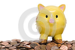 Piggy Bank and Pennies