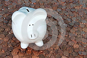 Piggy bank on pennies