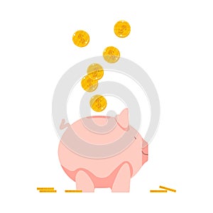 Piggy bank pig with coins. Symbol of long term investment