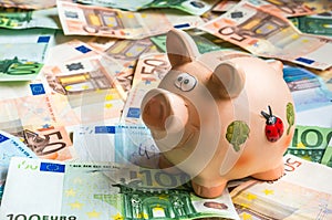 Piggy bank in a pile of euro money