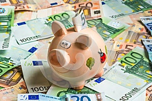 Piggy bank in a pile of euro money