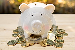 Piggy bank and pile many money coins on a wooden table. - Saving money concept, Save money with stack money coin for growing