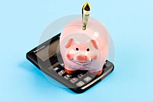 Piggy bank pink pig stuffed dollar banknote and calculator. Financial wellbeing. Savings account. Savings deposit is