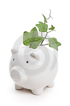 Piggy bank and plant