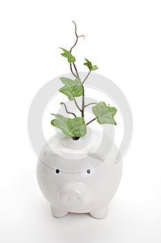 Piggy bank and plant