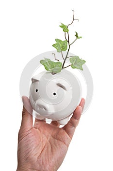 Piggy bank and plant