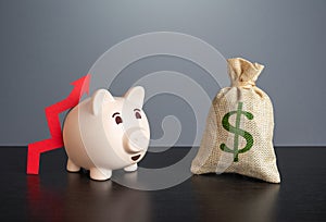 Piggy bank with red arrow up and dollar money bag. Capital increase.