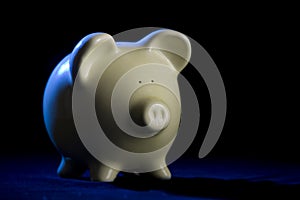 Piggy Bank with Rim-Light photo
