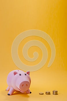 Piggy bank and rising coins chart