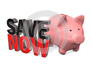 Piggy Bank Save Now