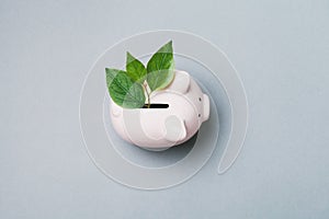 Piggy bank, saving money, business growth, profit