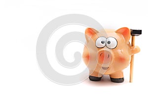 Piggy bank saving on white background