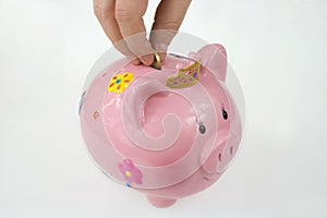 Piggy bank savings