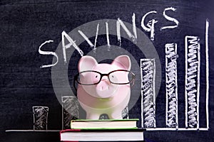 Piggy Bank with savings investment growth plan