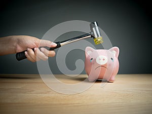 Piggy bank, savings, investments ,currency concept