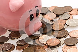 Piggy bank and scattered money photo