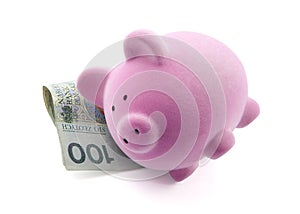 Piggy bank sleeping on polish banknotes.