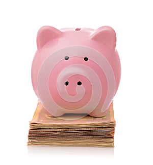Piggy bank on stacked banknotes photo