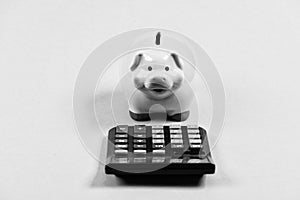 Piggy bank symbol money savings. Investments concept. Helping make smart financial choices. Pay taxes. Taxes calculator