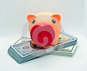 Piggy bank on top of a wad of hundred dollar bills in a white background